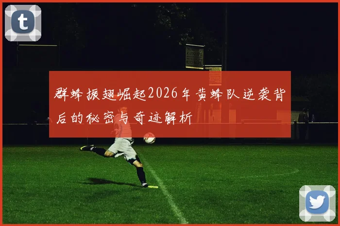群蜂振翅崛起2026年黄蜂队逆袭背后的秘密与奇迹解析