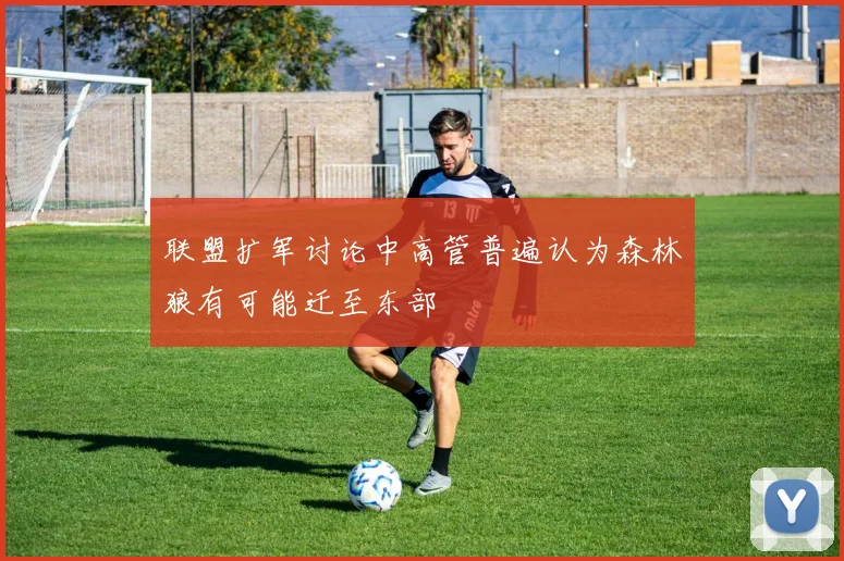 联盟扩军讨论中高管普遍认为森林狼有可能迁至东部