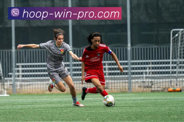 篮球投注品牌故事